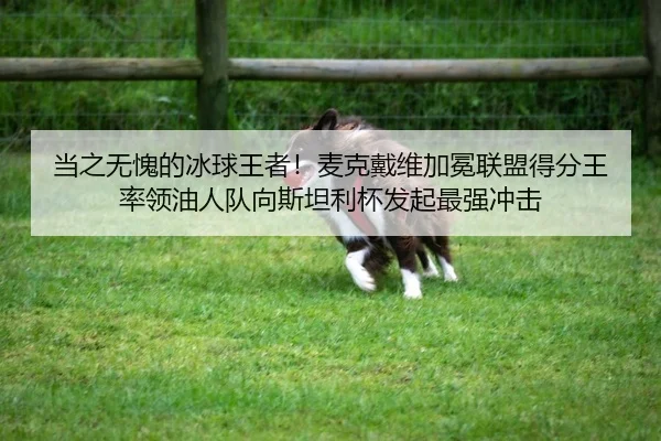 当之无愧的冰球王者！麦克戴维加冕联盟得分王 率领油人队向斯坦利杯发起最强冲击